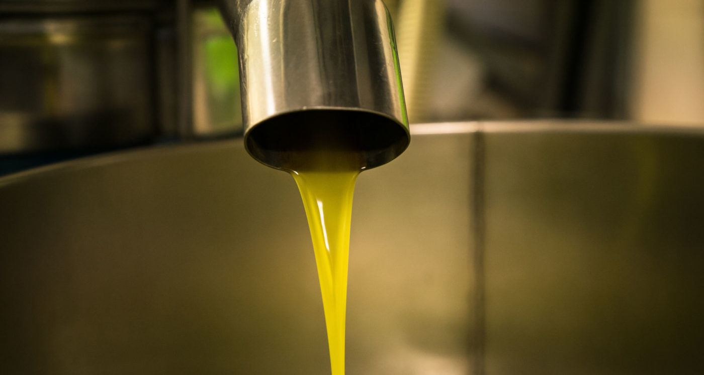 Processing of olive oil