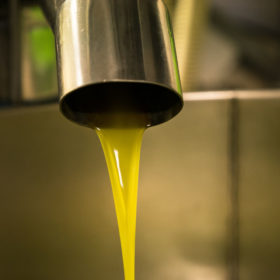 Processing of olive oil
