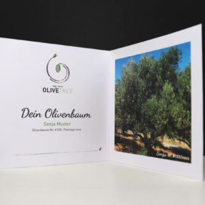 Patenschaft Olivenbaum Zertifikat